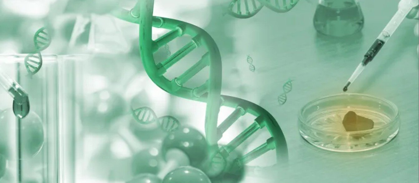 B.Sc in Biotechnology